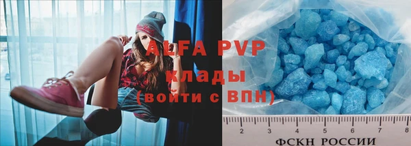 индика Верея