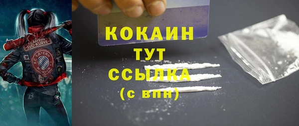 индика Верея