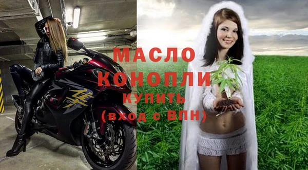 индика Верея