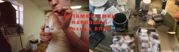 индика Верея