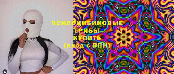 индика Верея