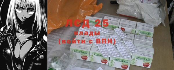 индика Верея