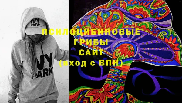 индика Верея