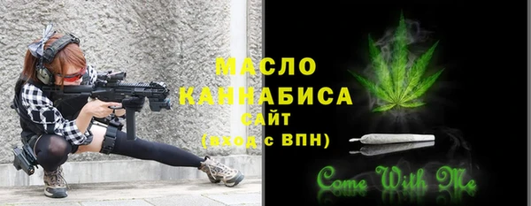 индика Верея